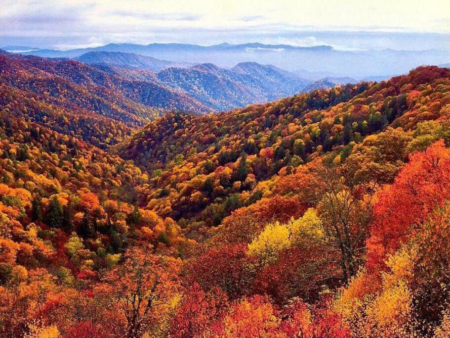 Whiskey Ridge Lodge, A Restored 1940S Gem, 2 Mins From Downtown, Breathtaking City Views, Custom Game Room, And Spacious Elegance Gatlinburg Buitenkant foto